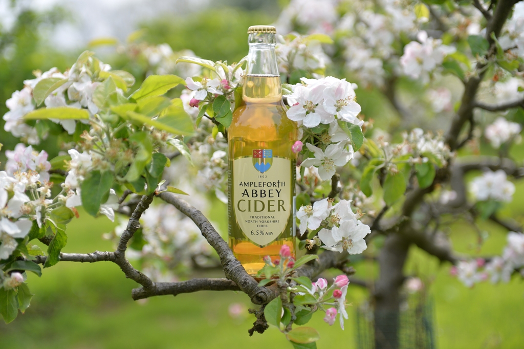 Bottle of cider posed in a tree in the orchard