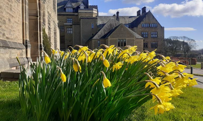 Daffodils outside the Abbey Church