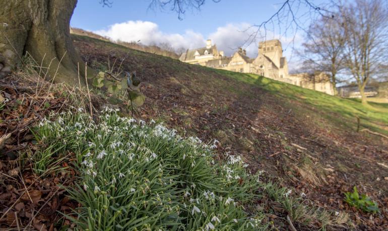 View of Abbey with snowdrops in the foreground