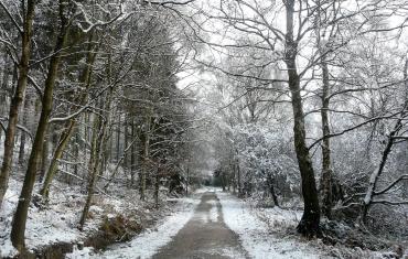 Snowy path through our grounds