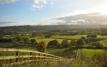 View of the Ampleforth valley from our grounds