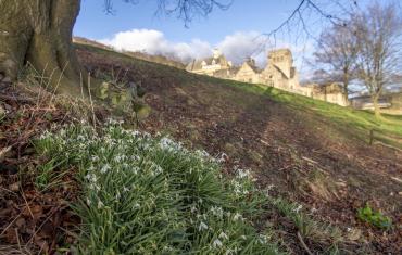 View of Abbey with snowdrops in the foreground